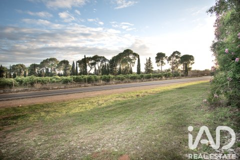 Land zum Verkauf in Llubi, Mallorca, Spanien 14787 m2 Nr. 196512 - Foto 18