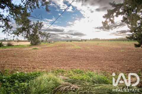 Land in Llubi, Mallorca, Spanien 14787 m2 Nr. 196512