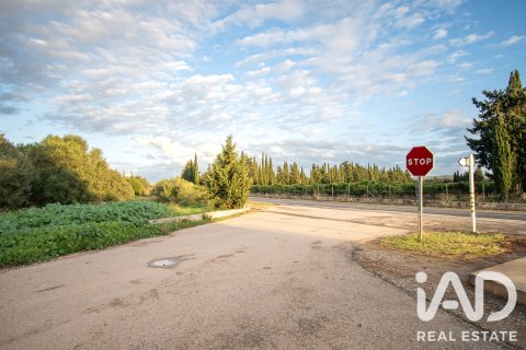 Land zum Verkauf in Llubi, Mallorca, Spanien 14787 m2 Nr. 196512 - Foto 17