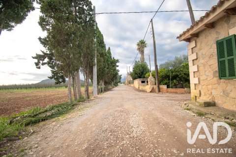 Land zum Verkauf in Llubi, Mallorca, Spanien 14787 m2 Nr. 196512 - Foto 16