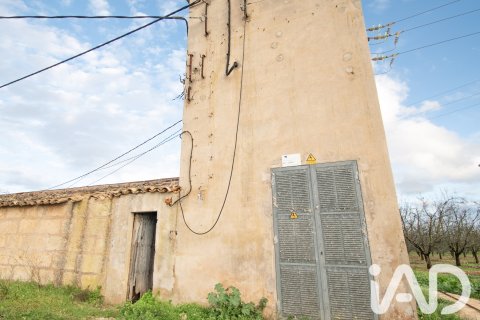 Land zum Verkauf in Llubi, Mallorca, Spanien 14787 m2 Nr. 196512 - Foto 15