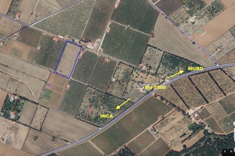 Land zum Verkauf in Llubi, Mallorca, Spanien 14787 m2 Nr. 196512 - Foto 20