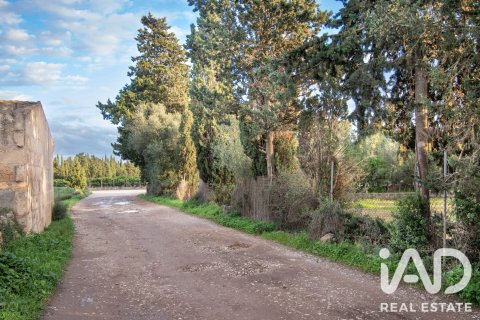 Land zum Verkauf in Llubi, Mallorca, Spanien 14787 m2 Nr. 196512 - Foto 11