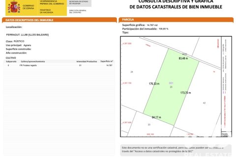 Land zum Verkauf in Llubi, Mallorca, Spanien 14787 m2 Nr. 196512 - Foto 21