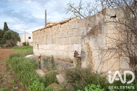 Land zum Verkauf in Llubi, Mallorca, Spanien 14787 m2 Nr. 196512 - Foto 7