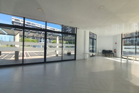 Apartamento en venta San Juan, Alicante, España 3 dormitorios, 105 m2 No. 138322 - foto 23