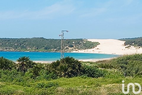 Māja Tarifa, Cadiz, Spānijā 2 istabas, 65 m2 Nr. 153497