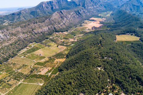 Dom w Alzira, Valencia, Hiszpania 5 sypialni, 754 mkw. nr 153493 – zdjęcie 30