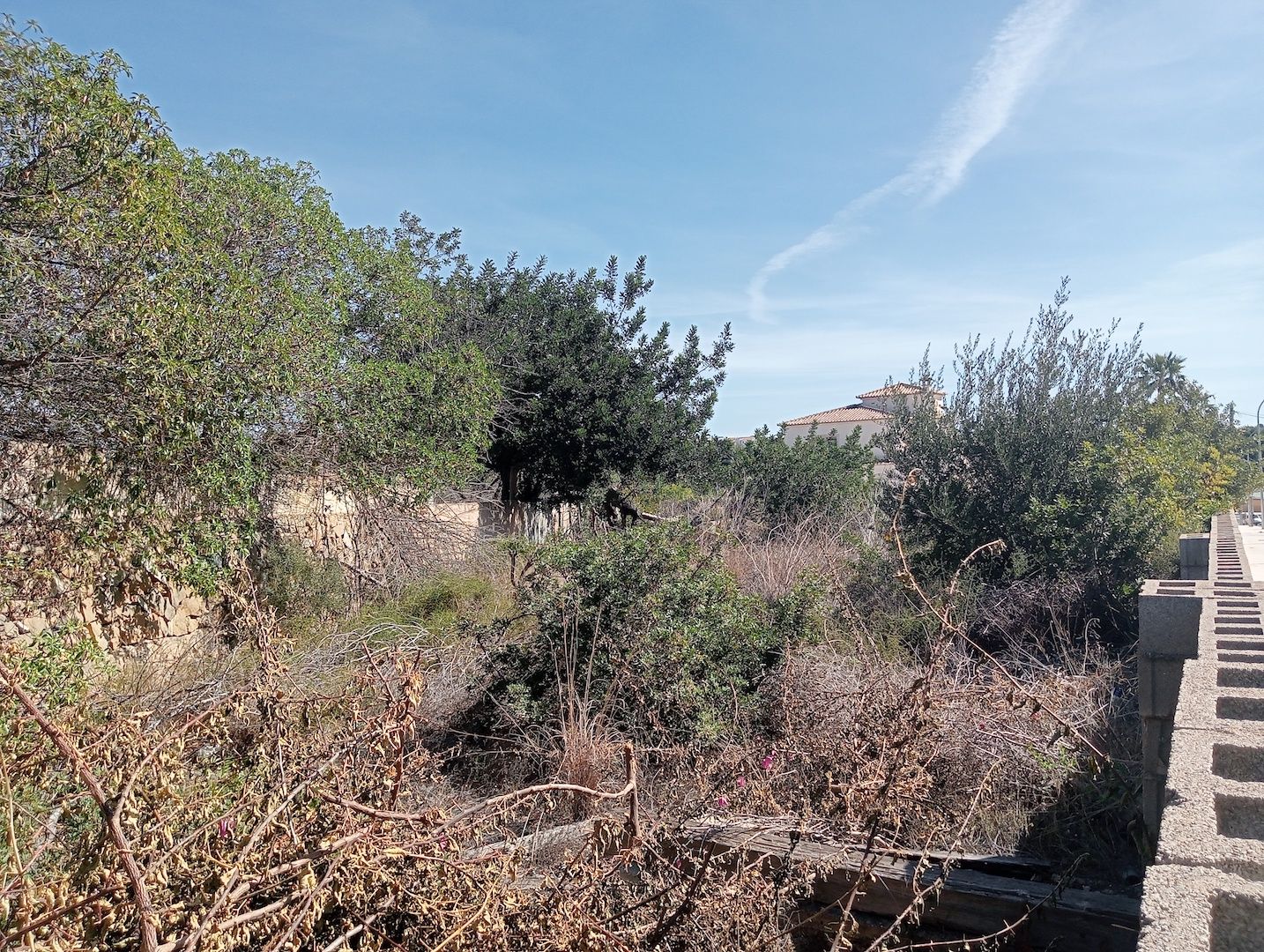 Terreno a Calpe, Alicante, Spagna 1100 mq. N° 97588