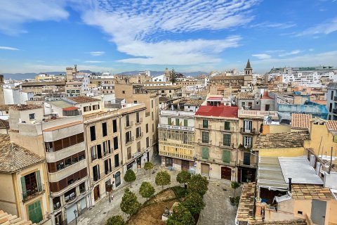 Wohnung zur Miete in Palma de Majorca, Mallorca, Spanien 3 Schlafzimmer, 124 m2 Nr. 164770 - Foto 13