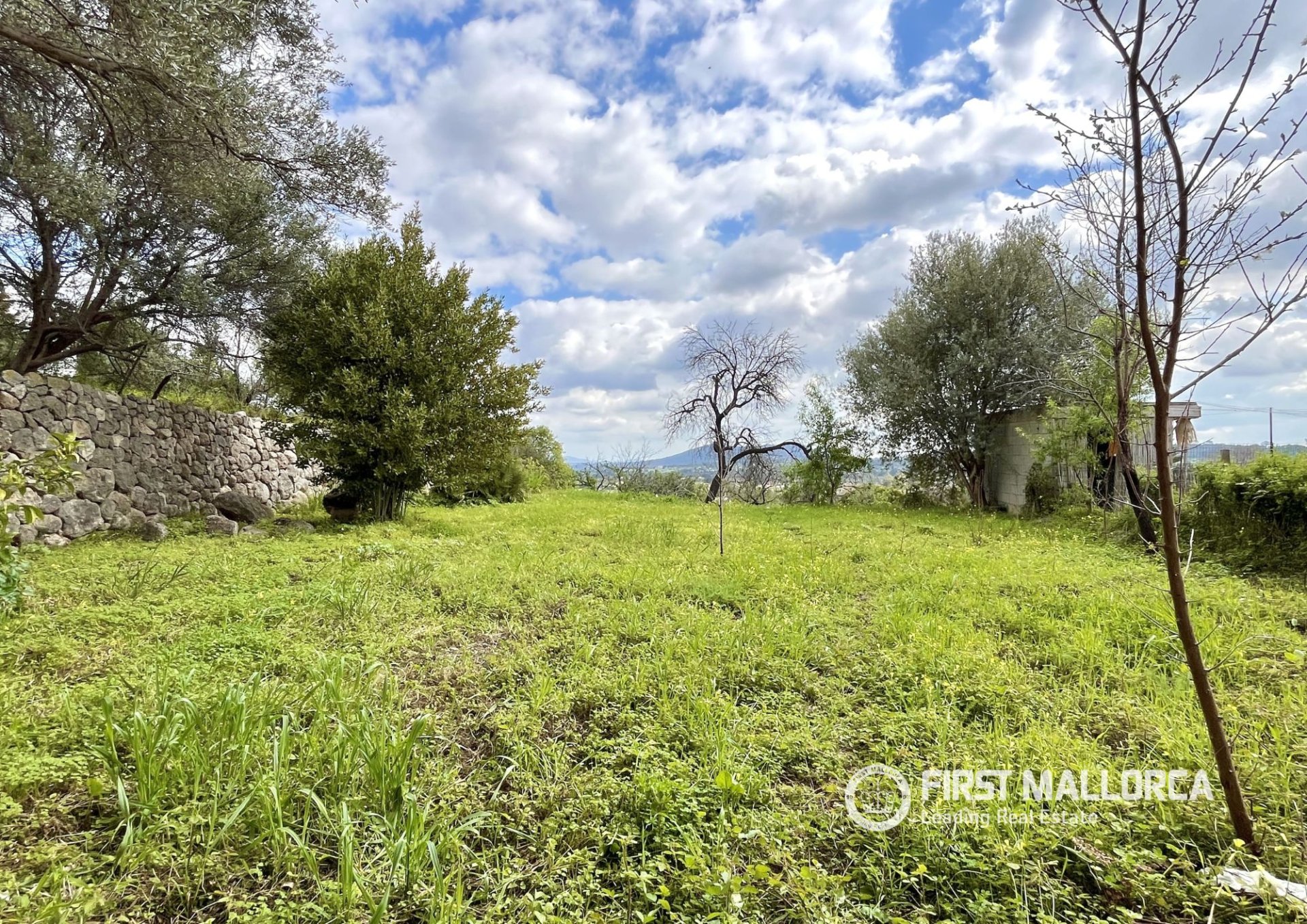 Villa in Selva, Mallorca, Spain 2 bedrooms, 217 sq.m. No. 164773