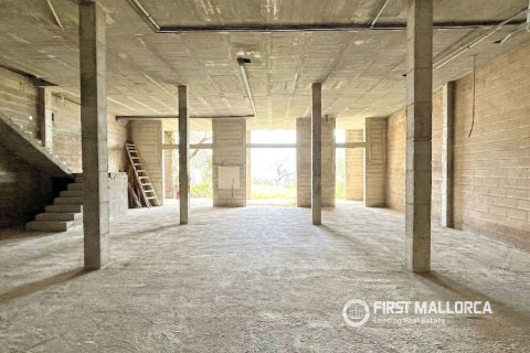 Villa in vendita a Selva, Mallorca, Spagna 2 camere da letto, 217 mq. N° 164773 - foto 22