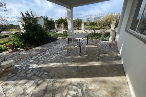 Villa for sale in Benejuzar, Alicante, Spain 5 bedrooms, 257 sq.m. No. 150150 - photo 26