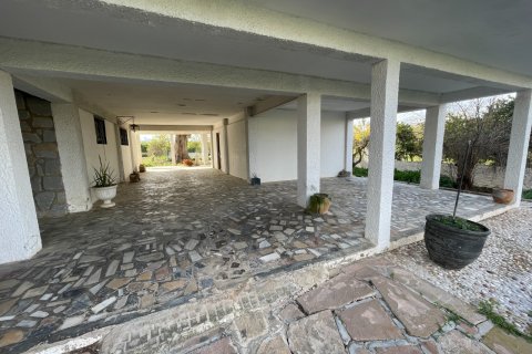 Villa for sale in Benejuzar, Alicante, Spain 5 bedrooms, 257 sq.m. No. 150150 - photo 11