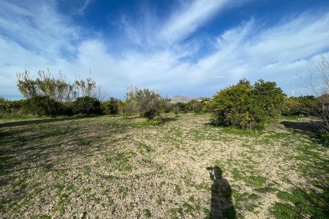 Villa for sale in Benejuzar, Alicante, Spain 5 bedrooms, 257 sq.m. No. 150150 - photo 22