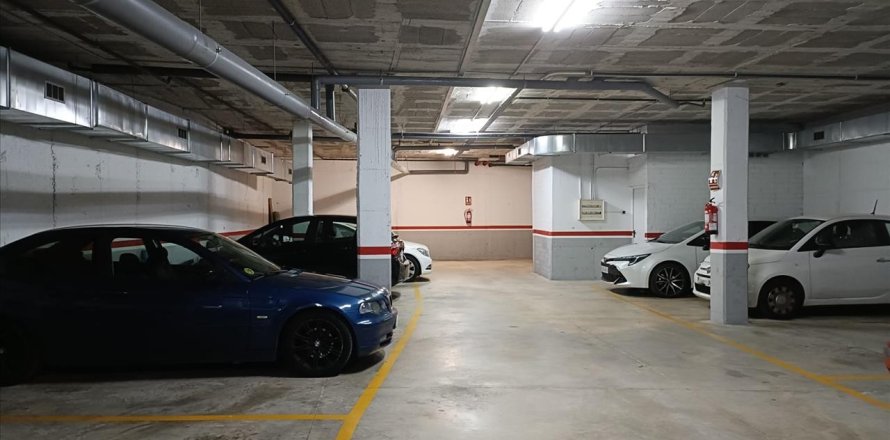 Garage in Sant Sadurni d'Anoia, Barcelona, Spain 12 sq.m. No. 195303