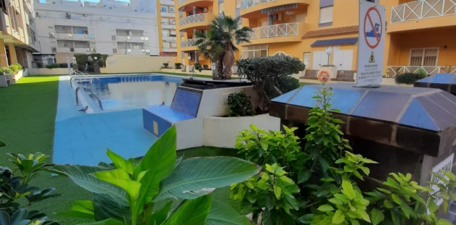 Huoneisto Torrevieja, Alicante, Espanja 3 makuuhuonetta, 113 m2 No. 142508