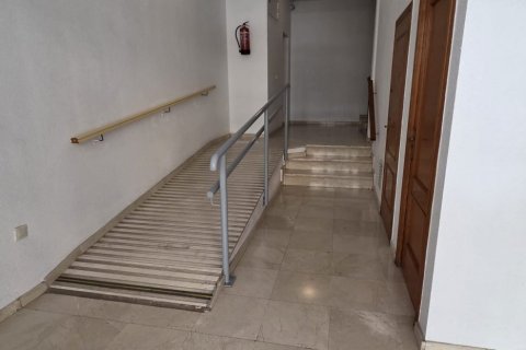Huoneisto myytävänä Torrevieja, Alicante, Espanja, 3 makuuhuonetta, 113 m2 No. 142508 - kuva 5