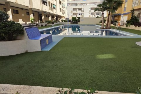 Huoneisto myytävänä Torrevieja, Alicante, Espanja, 3 makuuhuonetta, 113 m2 No. 142508 - kuva 25