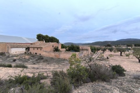 Finca pārdošanā Villena, Alicante, Spānijā 14 istabas,  Nr. 142503 - attēls 1