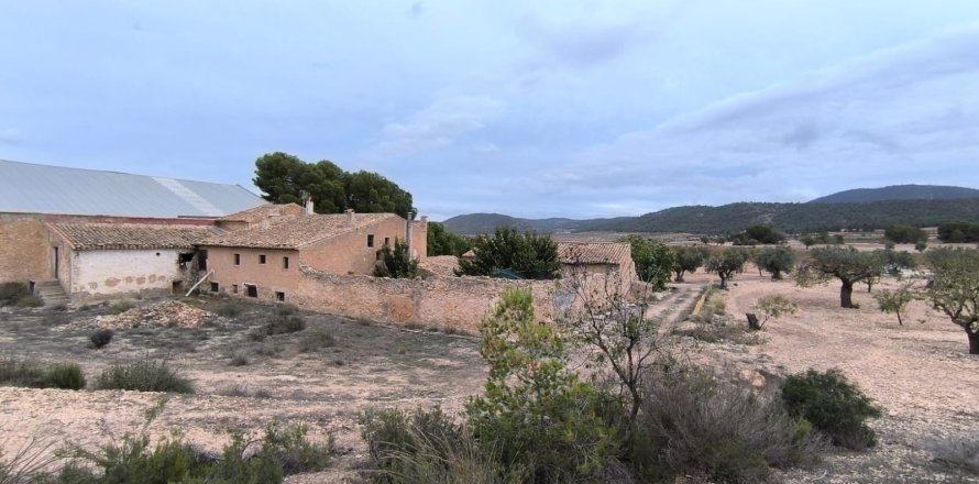 Finca Villena, Alicante, Spānijā 14 istabas,  Nr. 142503