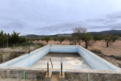 Finca pārdošanā Villena, Alicante, Spānijā 14 istabas,  Nr. 142503 - attēls 4