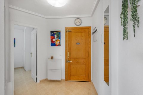 Dzīvoklis pārdošanā Torrevieja, Alicante, Spānijā 3 istabas,  Nr. 156170 - attēls 12