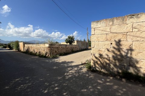 Land plot for sale in Muro, Mallorca, Spain 25644 sq.m. No. 156160 - photo 3