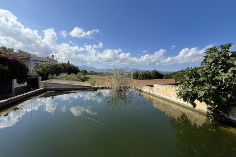 Land plot for sale in Muro, Mallorca, Spain 25644 sq.m. No. 156160 - photo 4