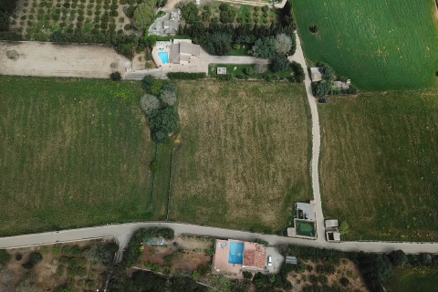 Land plot in Muro, Mallorca, Spain 25644 sq.m. No. 156160