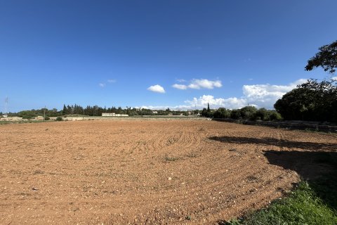 Land plot for sale in Muro, Mallorca, Spain 25644 sq.m. No. 156160 - photo 10