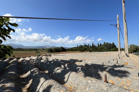 Land plot for sale in Muro, Mallorca, Spain 25644 sq.m. No. 156160 - photo 5