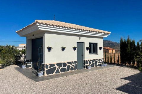 Villa zum Verkauf Pinoso, Alicante, Spanien 3 Schlafzimmer, 120 m2 Nr. 114027 - Foto 17