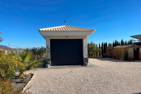 Villa zum Verkauf Pinoso, Alicante, Spanien 3 Schlafzimmer, 120 m2 Nr. 114027 - Foto 18