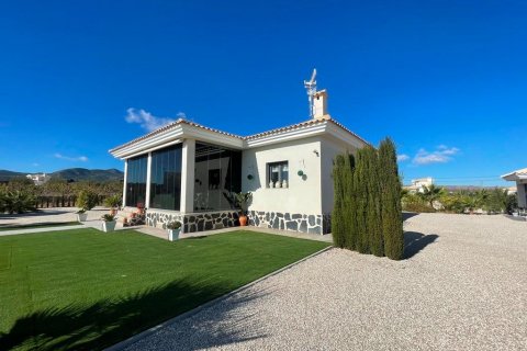 Villa zum Verkauf Pinoso, Alicante, Spanien 3 Schlafzimmer, 120 m2 Nr. 114027 - Foto 15