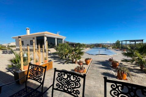 Villa zum Verkauf Pinoso, Alicante, Spanien 3 Schlafzimmer, 120 m2 Nr. 114027 - Foto 19