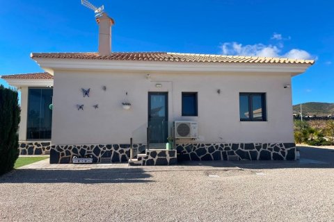 Villa zum Verkauf Pinoso, Alicante, Spanien 3 Schlafzimmer, 120 m2 Nr. 114027 - Foto 16
