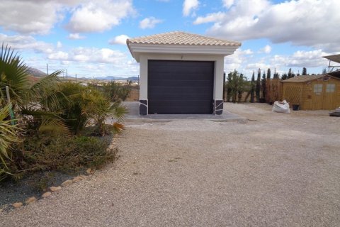 Villa zum Verkauf Pinoso, Alicante, Spanien 3 Schlafzimmer, 120 m2 Nr. 114027 - Foto 13