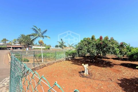 Willa w San Cristobal de La Laguna, Tenerife, Hiszpania 2 sypialnie, 1188 mkw. nr 144596 – zdjęcie 29