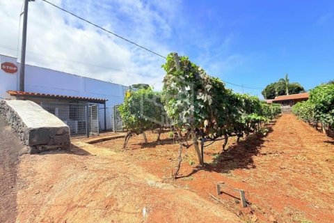 Willa w San Cristobal de La Laguna, Tenerife, Hiszpania 2 sypialnie, 1188 mkw. nr 144596 – zdjęcie 30