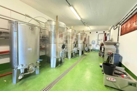 Willa w San Cristobal de La Laguna, Tenerife, Hiszpania 2 sypialnie, 1188 mkw. nr 144596 – zdjęcie 22