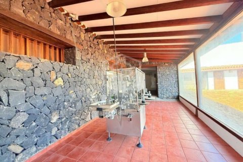 Willa w San Cristobal de La Laguna, Tenerife, Hiszpania 2 sypialnie, 1188 mkw. nr 144596 – zdjęcie 24