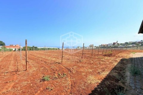 Willa w San Cristobal de La Laguna, Tenerife, Hiszpania 2 sypialnie, 1188 mkw. nr 144596 – zdjęcie 25