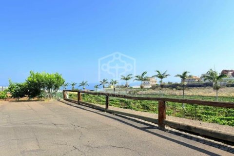 Willa w San Cristobal de La Laguna, Tenerife, Hiszpania 2 sypialnie, 1188 mkw. nr 144596 – zdjęcie 26