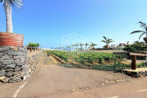 Willa w San Cristobal de La Laguna, Tenerife, Hiszpania 2 sypialnie, 1188 mkw. nr 144596 – zdjęcie 27