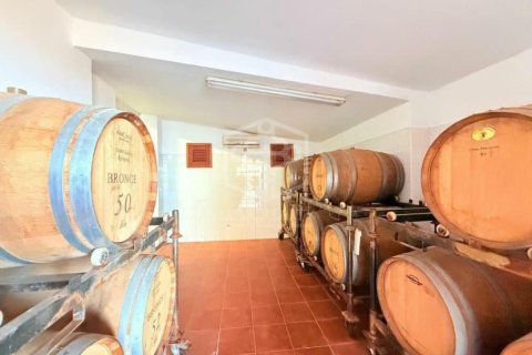 Willa w San Cristobal de La Laguna, Tenerife, Hiszpania 2 sypialnie, 1188 mkw. nr 144596 – zdjęcie 23