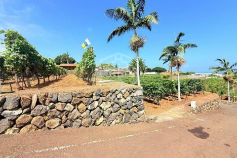 Willa w San Cristobal de La Laguna, Tenerife, Hiszpania 2 sypialnie, 1188 mkw. nr 144596 – zdjęcie 28