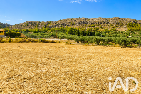 Dom w Calasparra, Murcia, Hiszpania 250 mkw. nr 187694 – zdjęcie 16