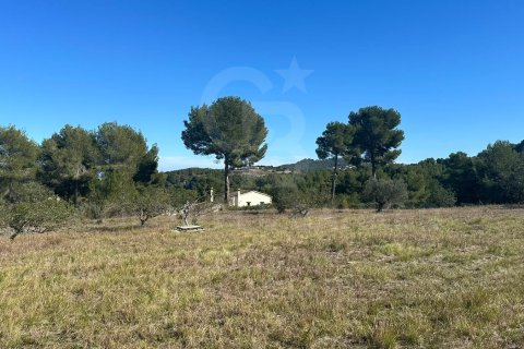 Land zum Verkauf in Javea, Alicante, Spanien 11130 m2 Nr. 160219 - Foto 9