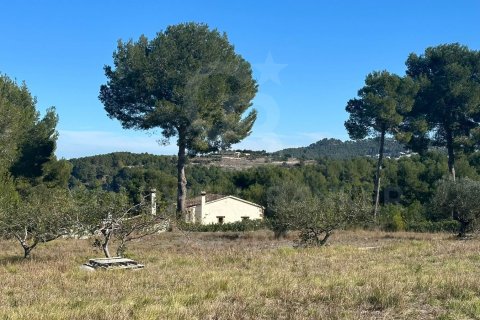 Parcela en venta en Jávea, Alicante, España 11130 m2 No. 160219 - foto 10